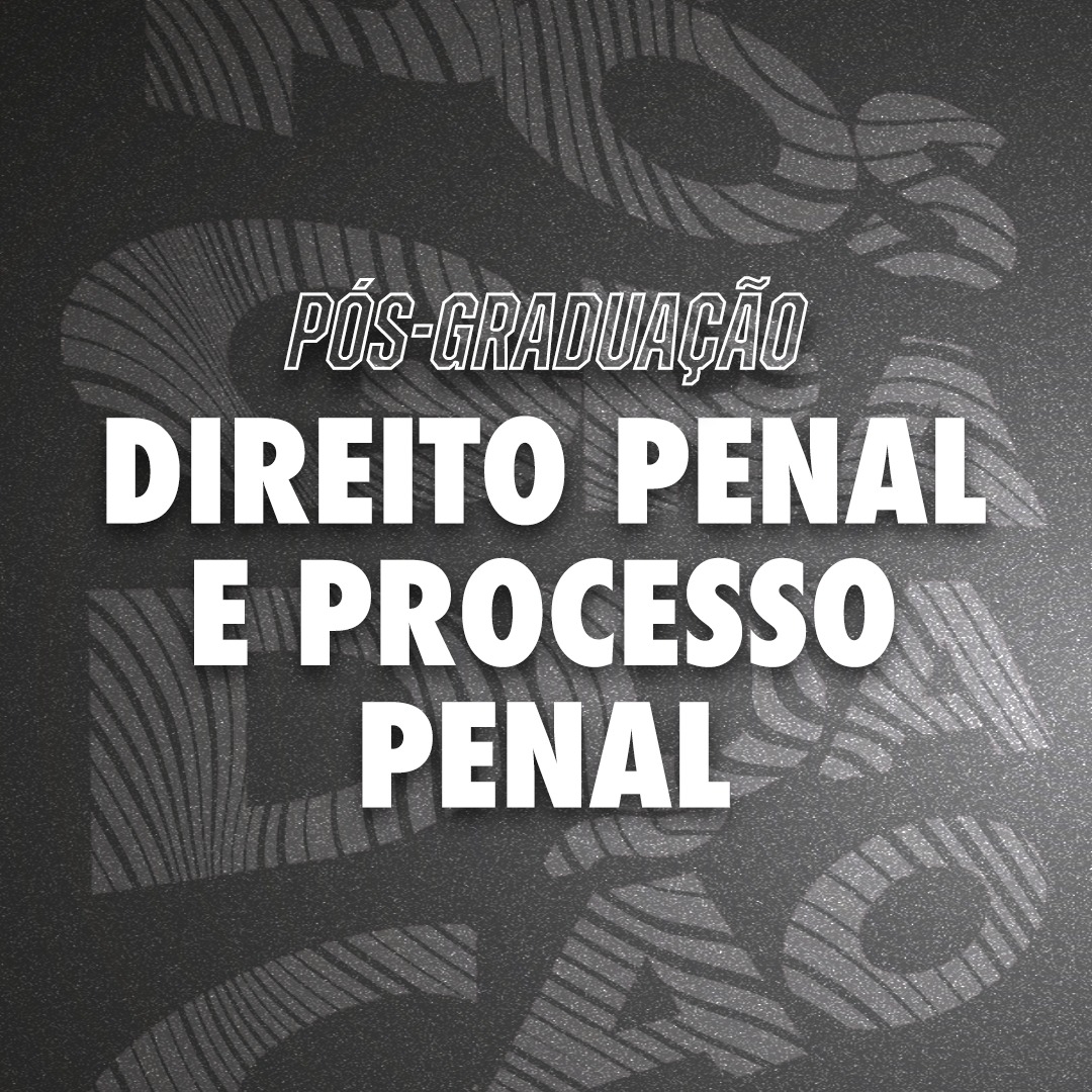 DIREITO PENAL E PROCESSO PENAL 2024.2